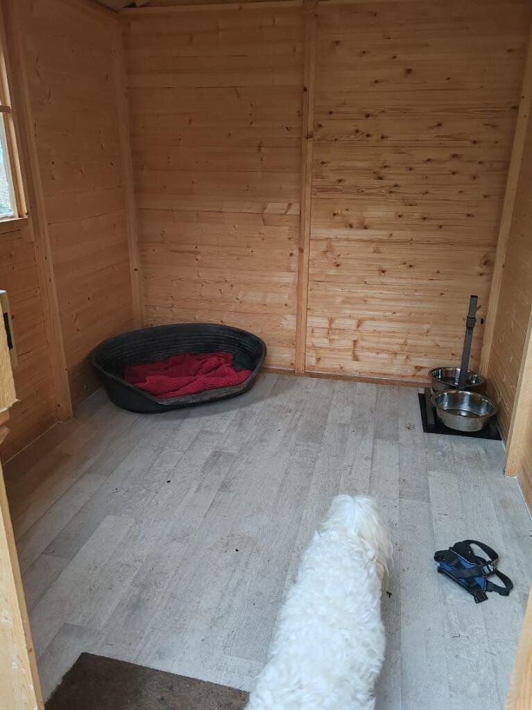 cabane individuelle chien pension pour chien nord de toulouse