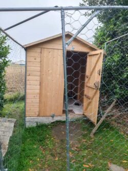 pension canine familiale bonrepos sur aussonnelle